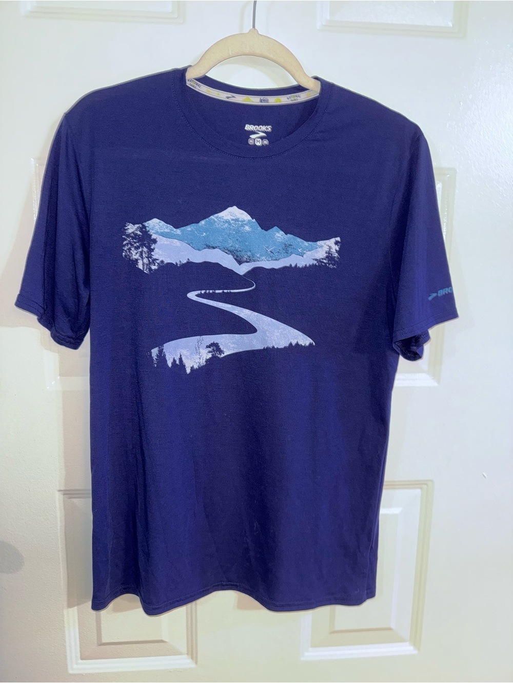 Brooks REI National Parks Men’s M Running Shirt Mountain Graphic Blue 211151